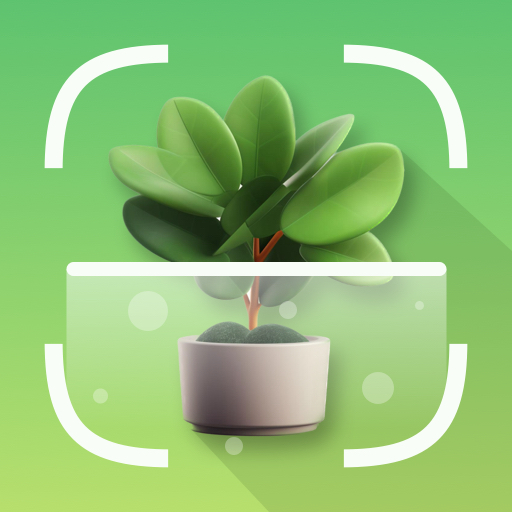 Plant Disease Detection App